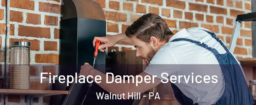 Fireplace Damper Services Walnut Hill - PA