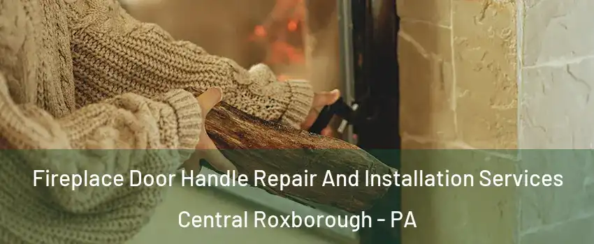 Fireplace Door Handle Repair And Installation Services Central Roxborough - PA
