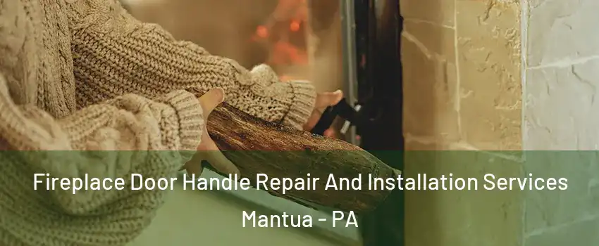 Fireplace Door Handle Repair And Installation Services Mantua - PA