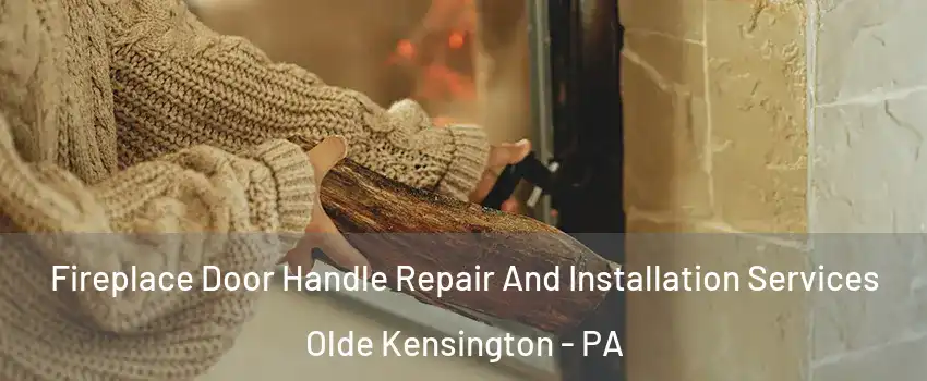 Fireplace Door Handle Repair And Installation Services Olde Kensington - PA