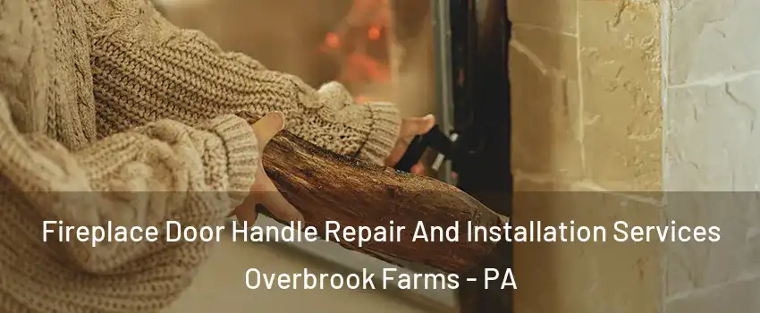 Fireplace Door Handle Repair And Installation Services Overbrook Farms - PA