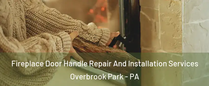 Fireplace Door Handle Repair And Installation Services Overbrook Park - PA