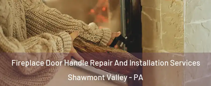 Fireplace Door Handle Repair And Installation Services Shawmont Valley - PA