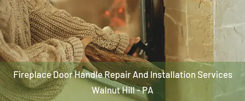 Fireplace Door Handle Repair And Installation Services Walnut Hill - PA
