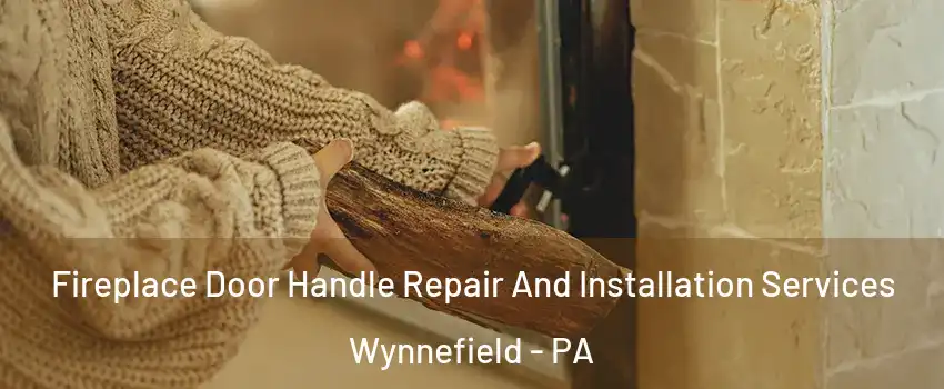 Fireplace Door Handle Repair And Installation Services Wynnefield - PA