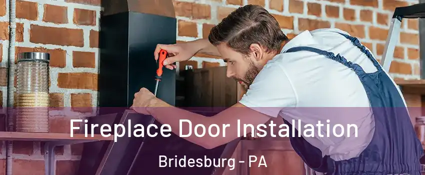 Fireplace Door Installation Bridesburg - PA