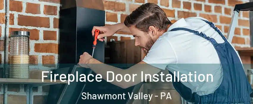 Fireplace Door Installation Shawmont Valley - PA