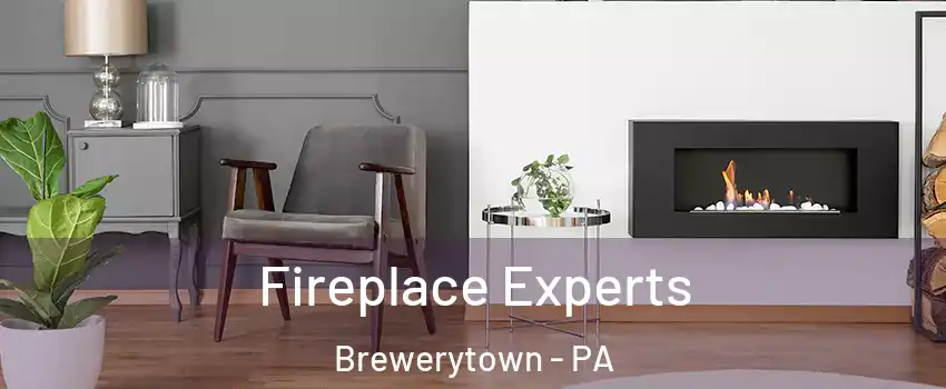 Fireplace Experts Brewerytown - PA