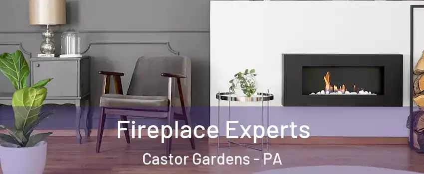 Fireplace Experts Castor Gardens - PA