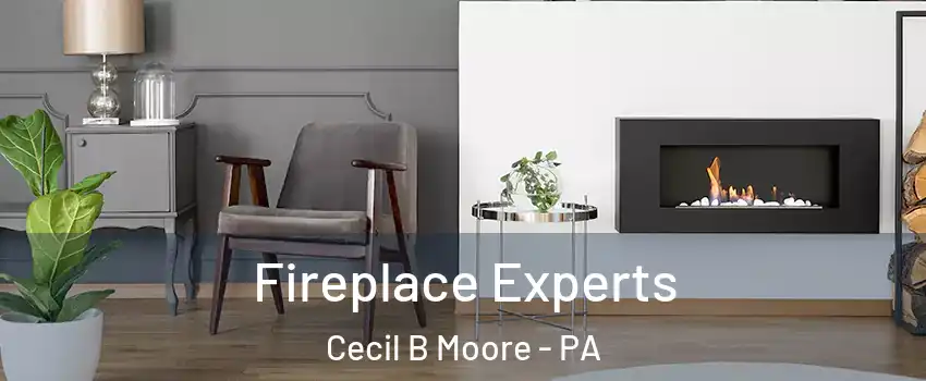 Fireplace Experts Cecil B Moore - PA