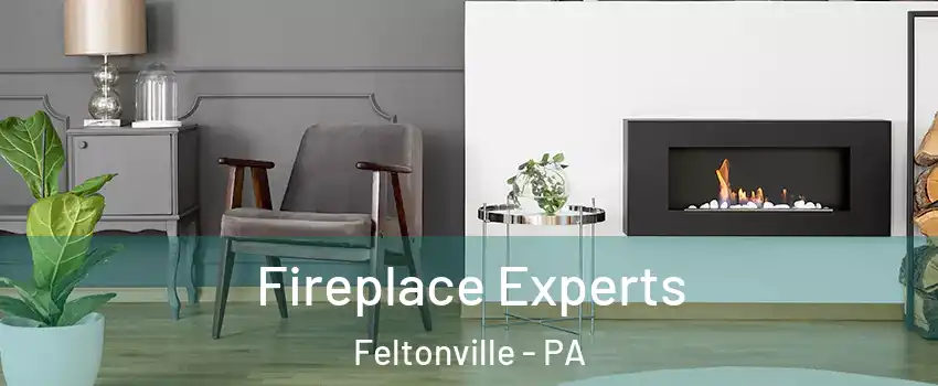 Fireplace Experts Feltonville - PA