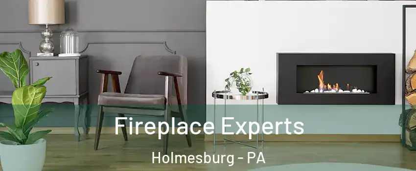 Fireplace Experts Holmesburg - PA
