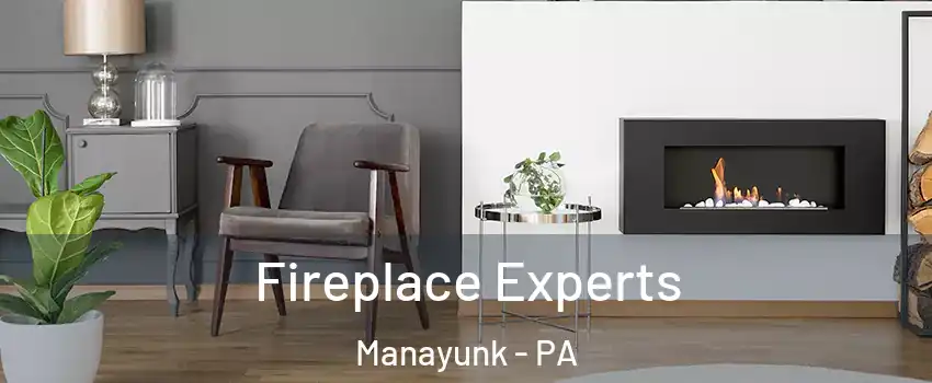 Fireplace Experts Manayunk - PA