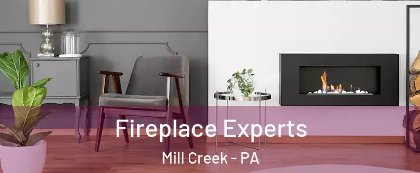 Fireplace Experts Mill Creek - PA