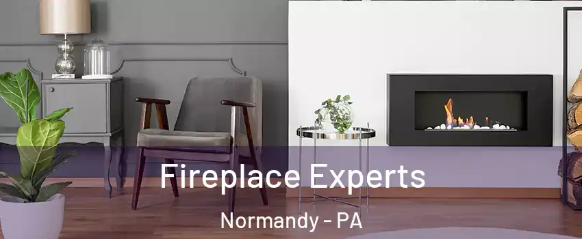 Fireplace Experts Normandy - PA