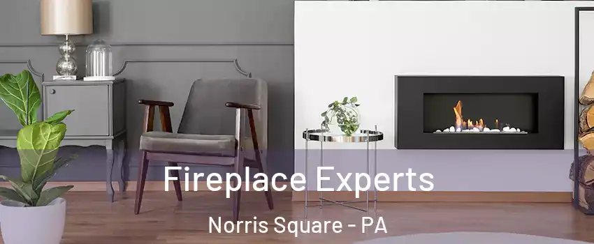 Fireplace Experts Norris Square - PA