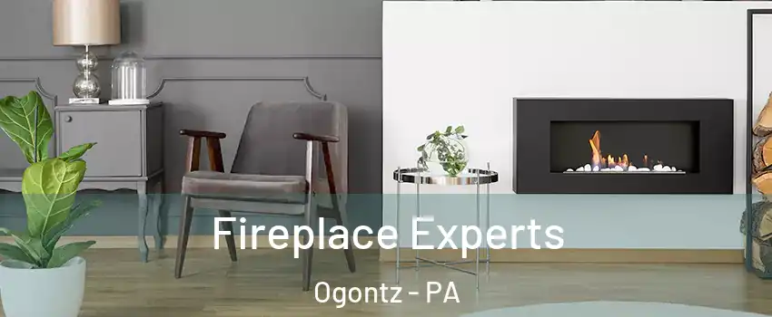 Fireplace Experts Ogontz - PA
