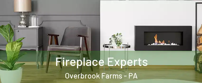 Fireplace Experts Overbrook Farms - PA