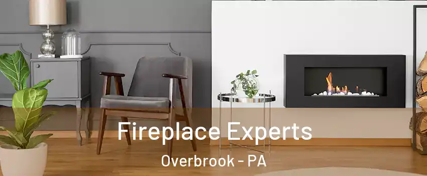 Fireplace Experts Overbrook - PA
