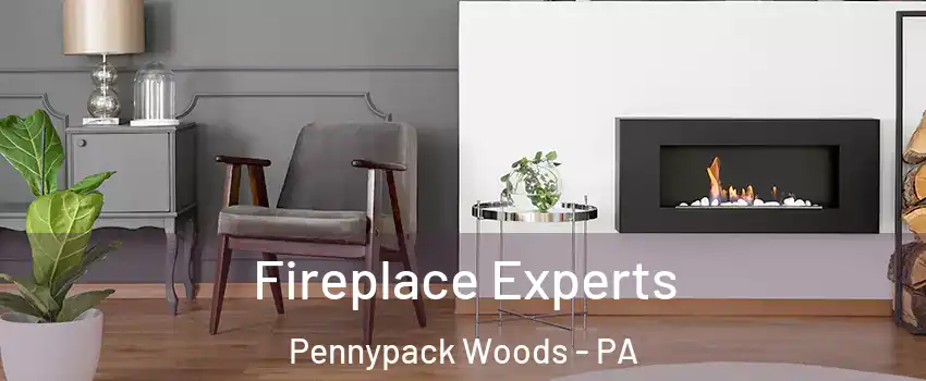 Fireplace Experts Pennypack Woods - PA