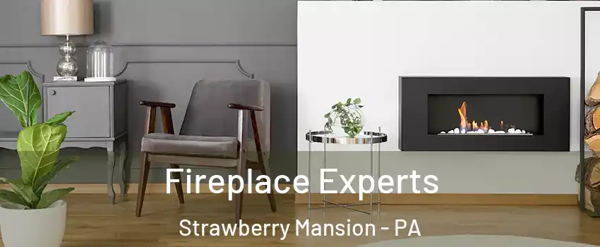 Fireplace Experts Strawberry Mansion - PA