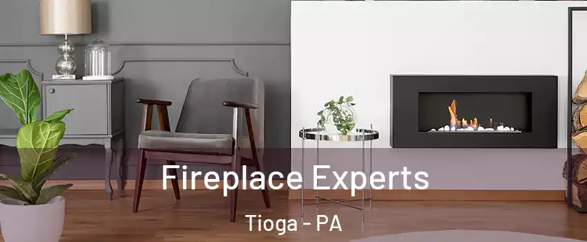 Fireplace Experts Tioga - PA