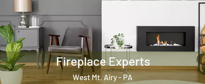 Fireplace Experts West Mt. Airy - PA
