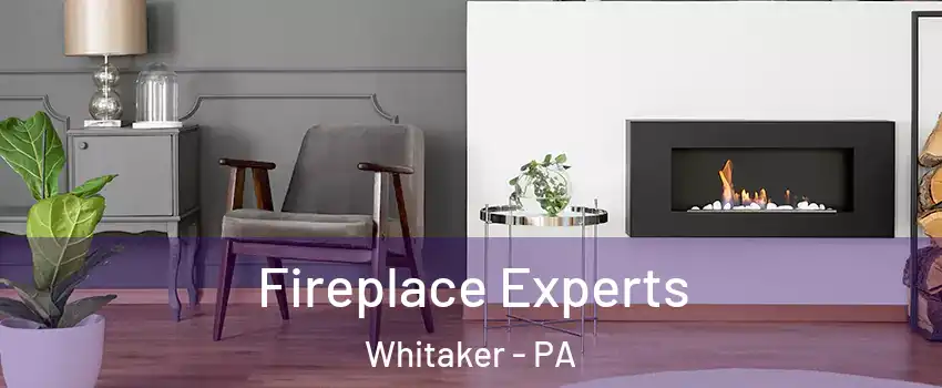Fireplace Experts Whitaker - PA