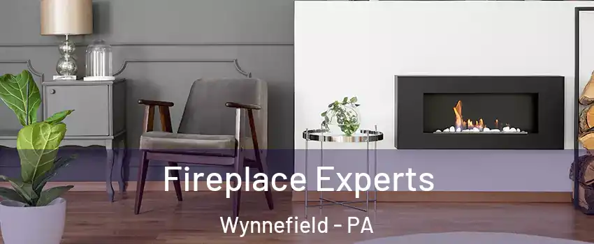 Fireplace Experts Wynnefield - PA