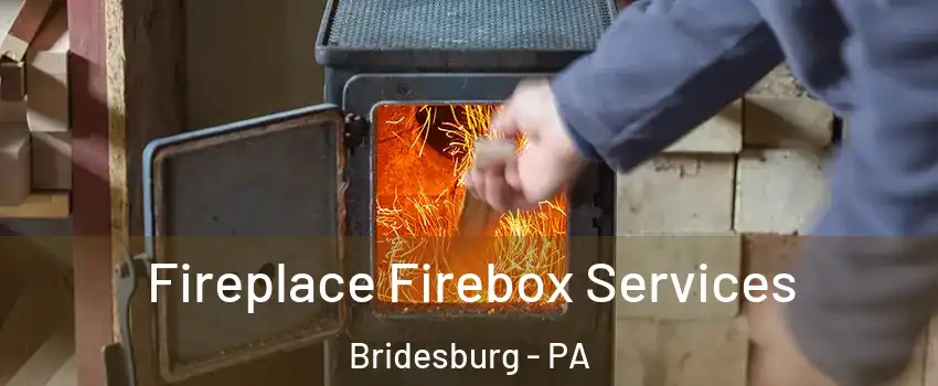 Fireplace Firebox Services Bridesburg - PA