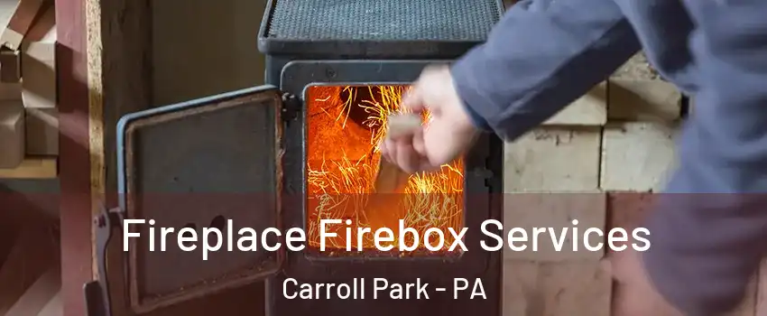 Fireplace Firebox Services Carroll Park - PA