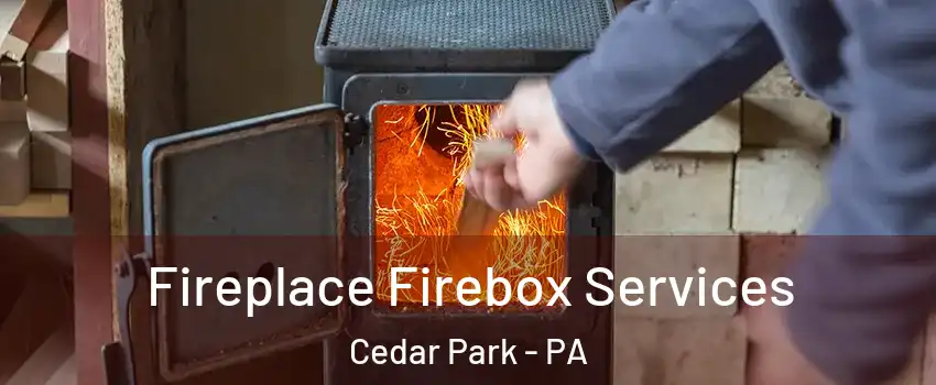 Fireplace Firebox Services Cedar Park - PA