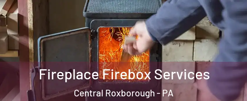Fireplace Firebox Services Central Roxborough - PA