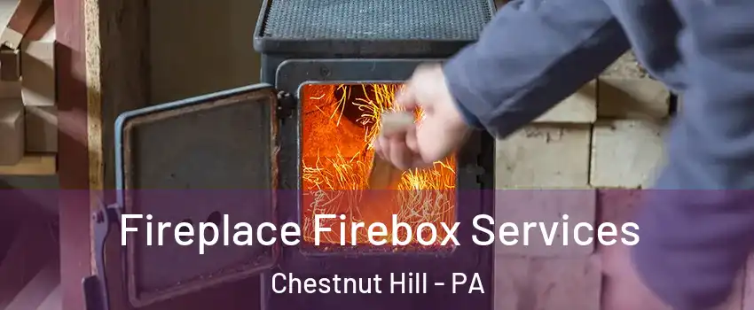 Fireplace Firebox Services Chestnut Hill - PA