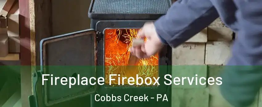 Fireplace Firebox Services Cobbs Creek - PA