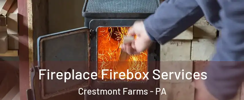 Fireplace Firebox Services Crestmont Farms - PA