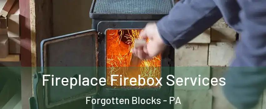 Fireplace Firebox Services Forgotten Blocks - PA