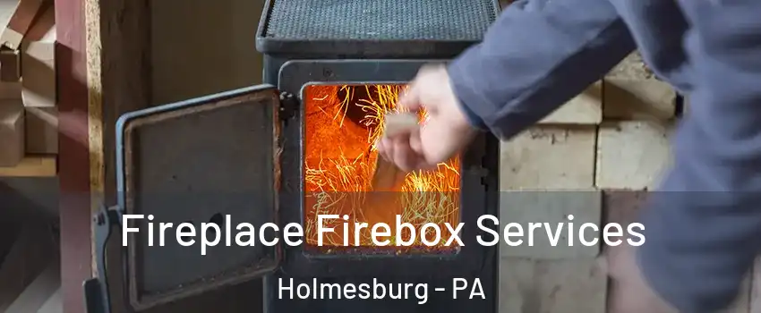 Fireplace Firebox Services Holmesburg - PA