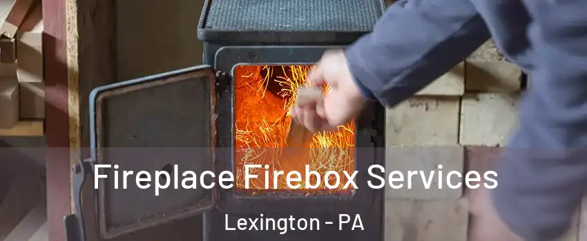 Fireplace Firebox Services Lexington - PA
