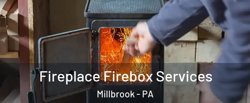 Fireplace Firebox Services Millbrook - PA