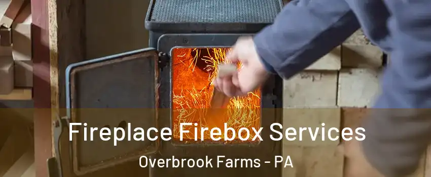 Fireplace Firebox Services Overbrook Farms - PA