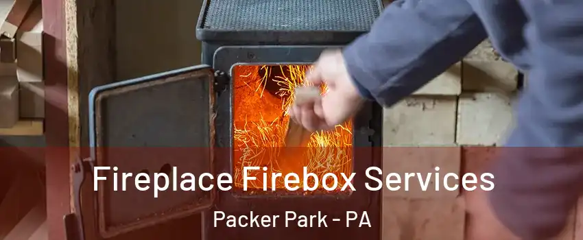 Fireplace Firebox Services Packer Park - PA
