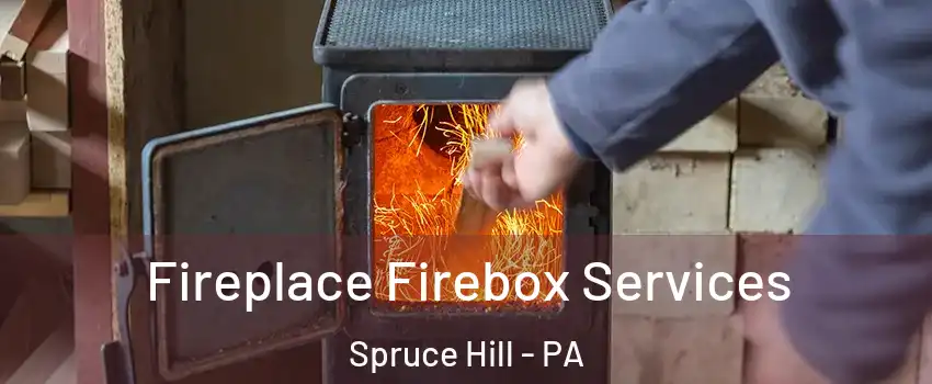Fireplace Firebox Services Spruce Hill - PA