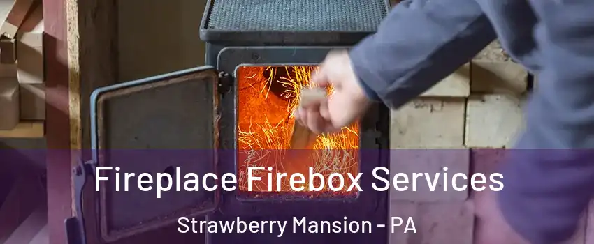 Fireplace Firebox Services Strawberry Mansion - PA