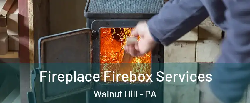 Fireplace Firebox Services Walnut Hill - PA