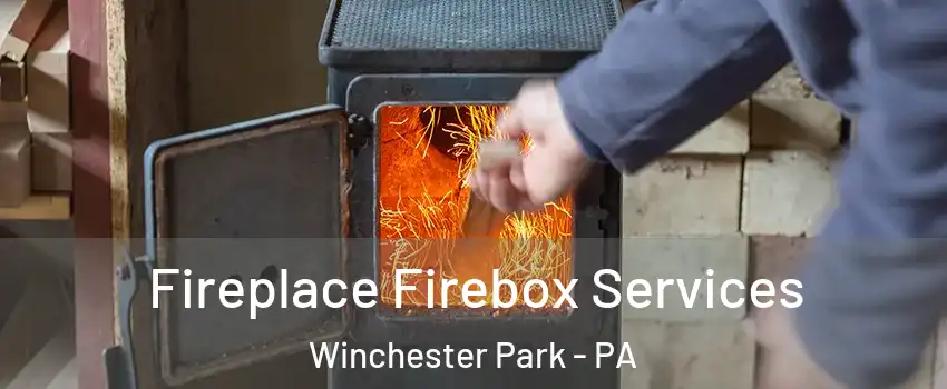 Fireplace Firebox Services Winchester Park - PA