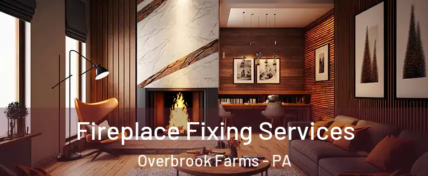 Fireplace Fixing Services Overbrook Farms - PA