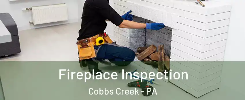 Fireplace Inspection Cobbs Creek - PA