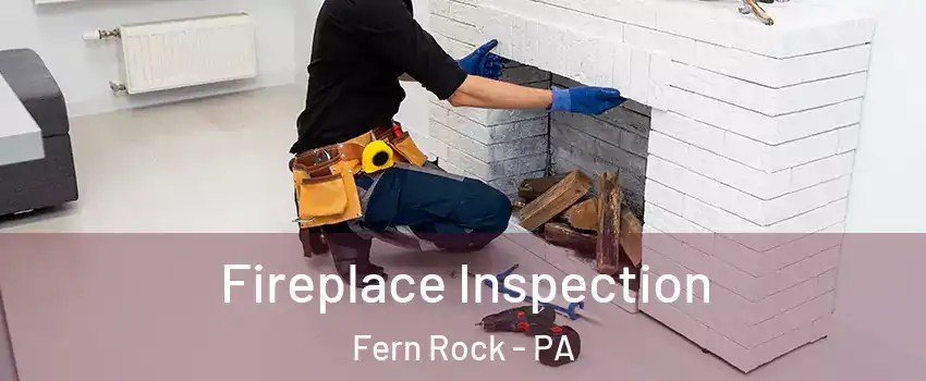 Fireplace Inspection Fern Rock - PA