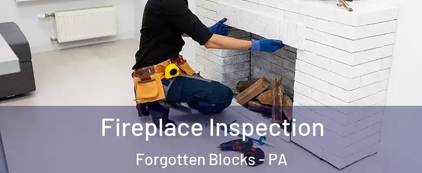Fireplace Inspection Forgotten Blocks - PA